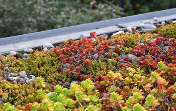 the cost of Stanton Fitzwarren green roof installation