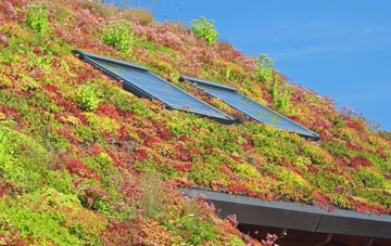 Stanton Fitzwarren living roof systems