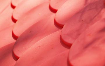 Stanton Fitzwarren plastic roof costs