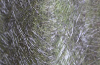 Stanton Fitzwarren fibreglass roof work